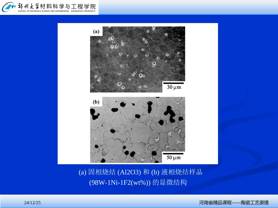 陶瓷材料的烧结_第3页