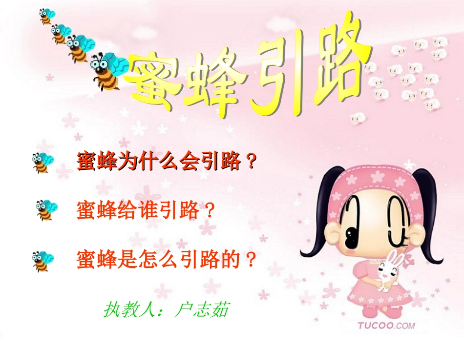 蜜蜂引路曦的公开课课件_第1页