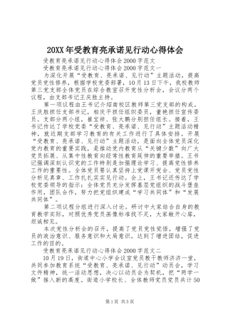 20XX年受教育亮承诺见行动心得体会 (4)