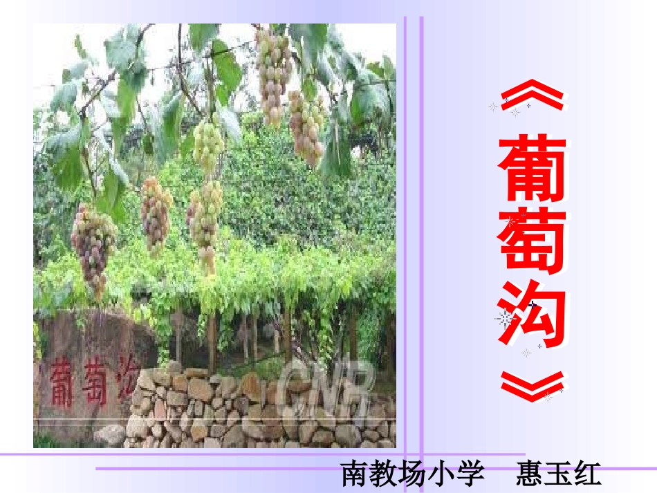 葡萄沟第课时_第1页