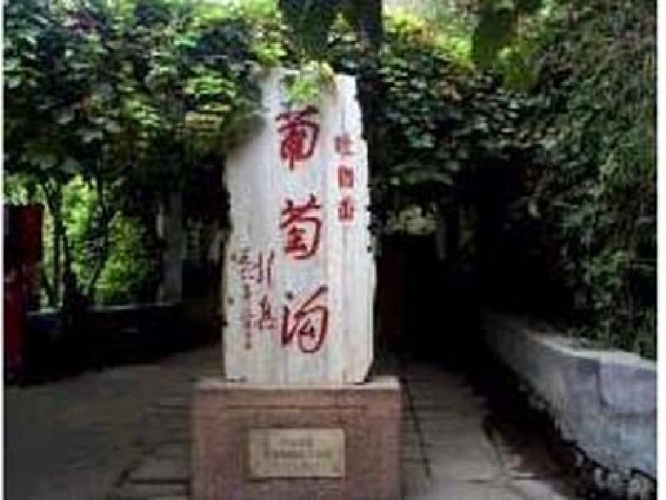 葡萄沟第课时_第3页