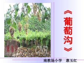 葡萄沟第课时