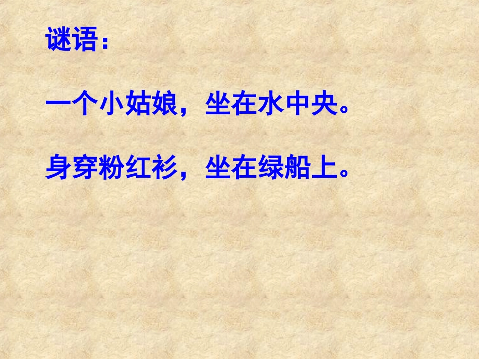 《爱莲说》PPT_第1页
