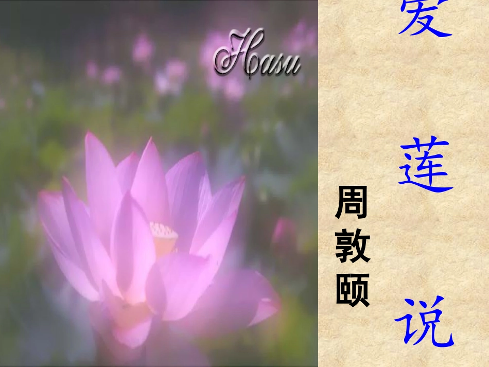《爱莲说》PPT_第2页