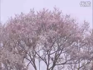 湘教版初中七下31日本PPT课件