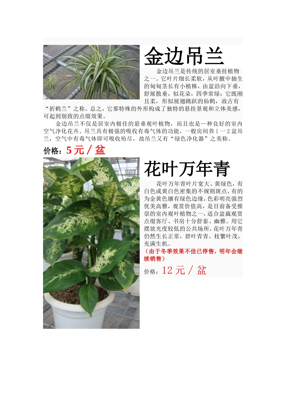 花卉销售及价格_第3页