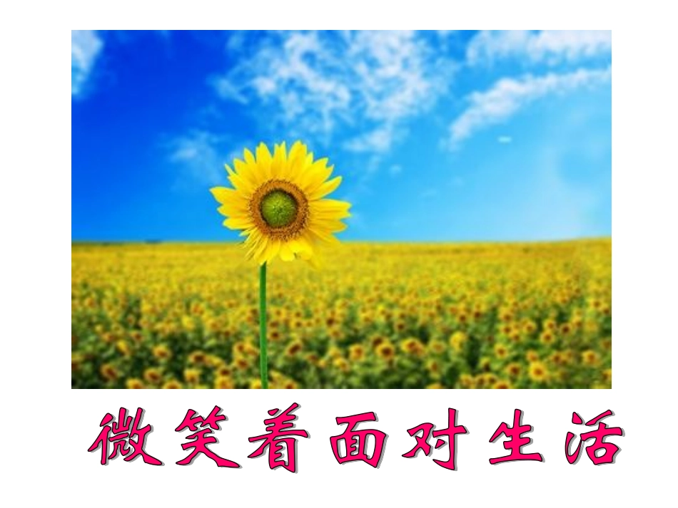 语文综合性学习2——微笑着面对生活_第3页