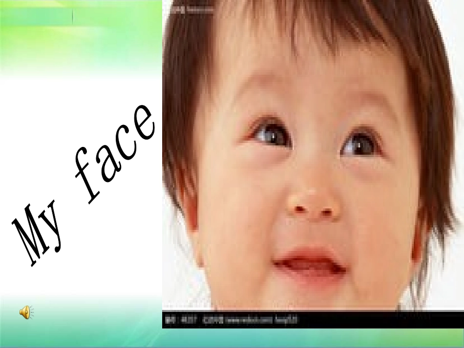 我的五官课件_第2页