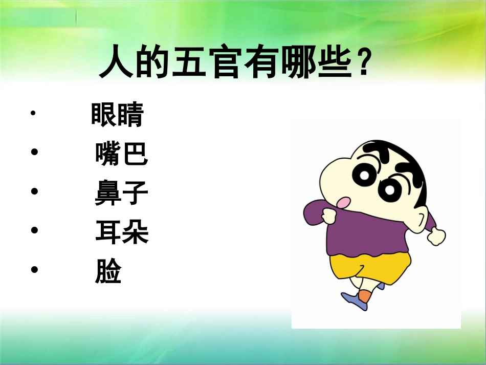 我的五官课件_第3页