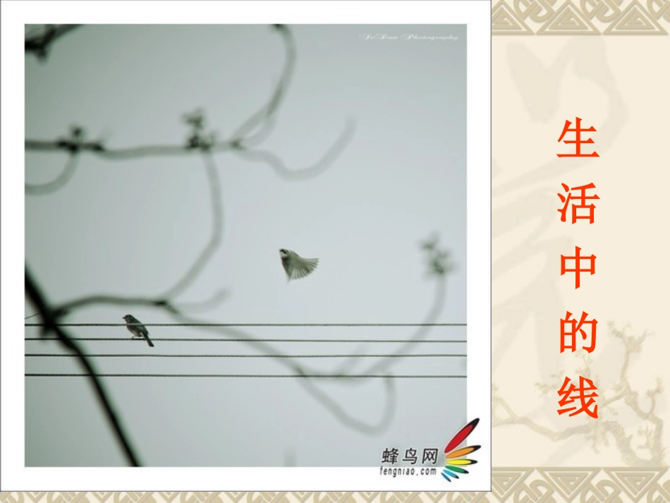 湘教版_小学美术_三年级下册《线的秘密》PPT课件_第2页