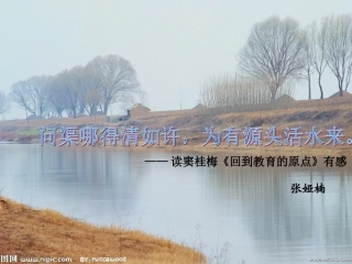 读窦桂梅有感