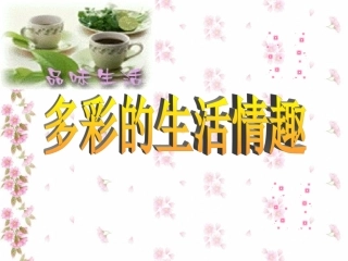 情趣与兴趣课件