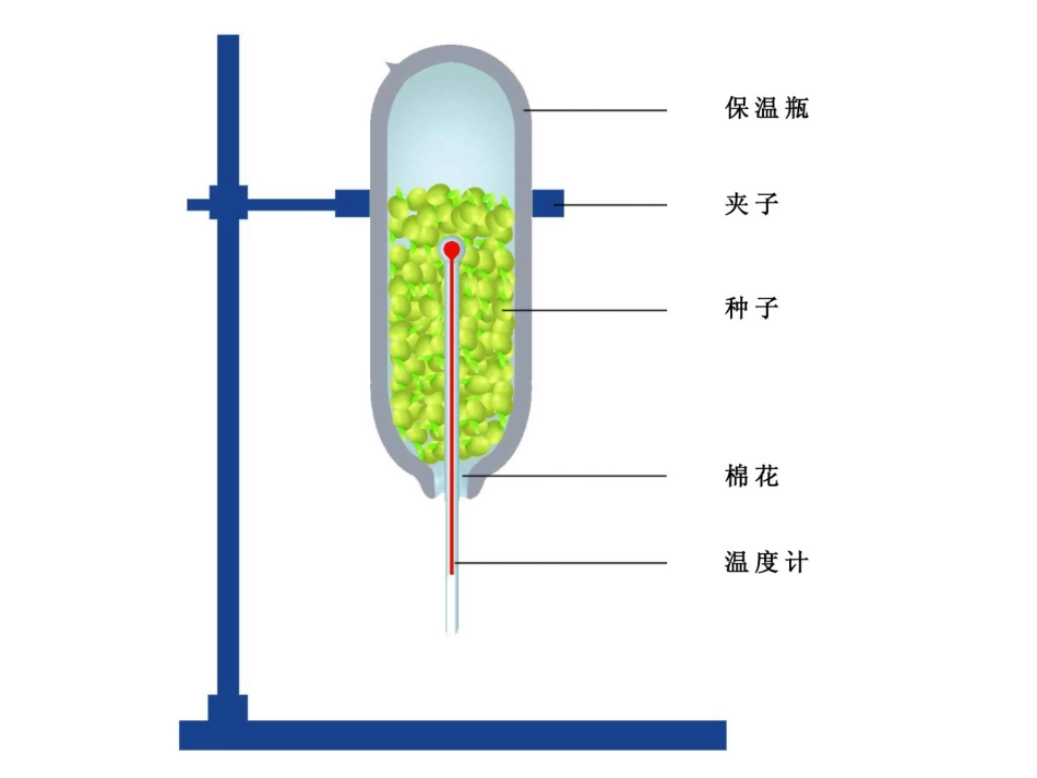能量的释放和利用上课用_第3页