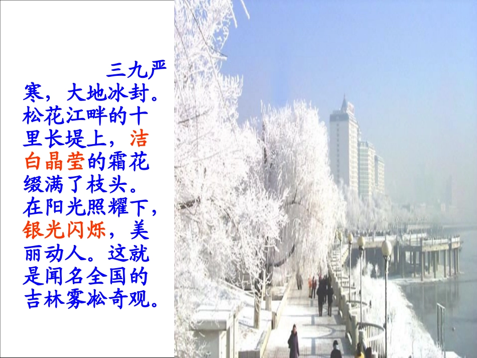 四年级上苏教版《雾凇》课件1_第3页