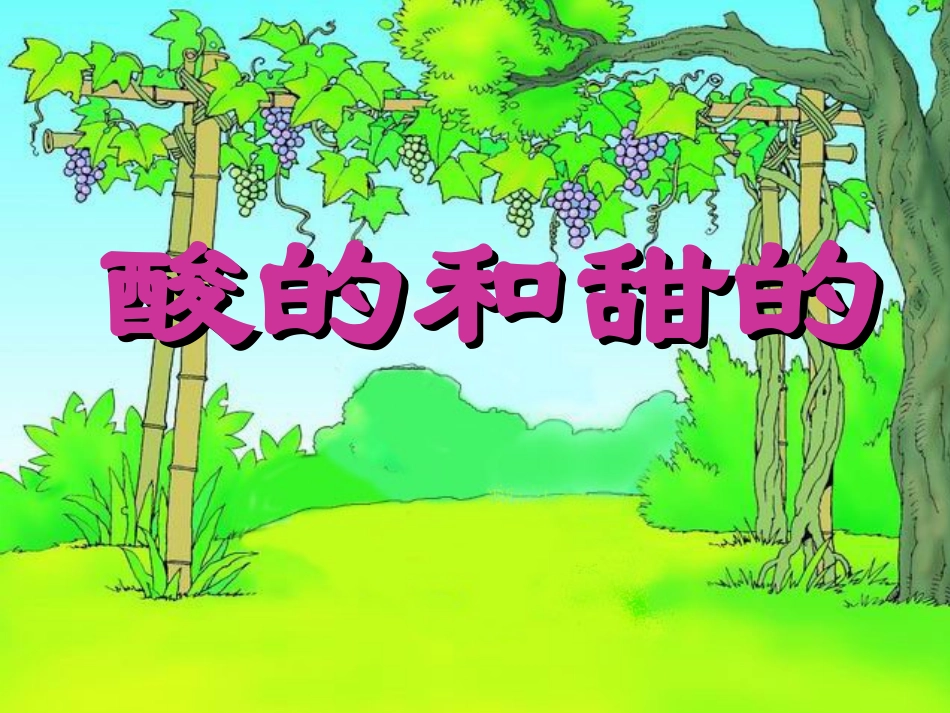 酸的和甜的PPT_第1页