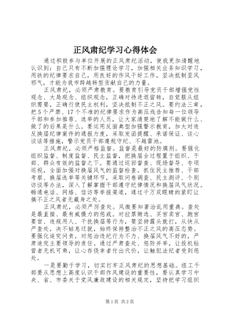 正风肃纪学习心得体会