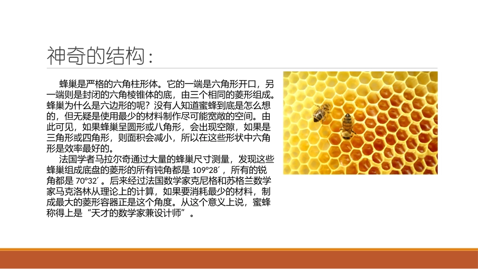 仿蜂巢碗具设计_第2页
