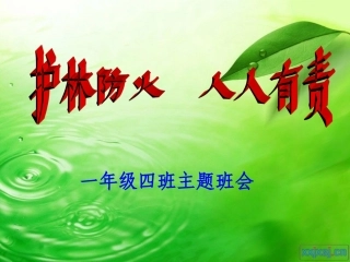 森林防火主题班会