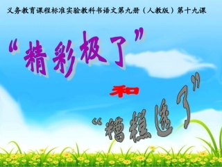 精彩极了和糟糕透了 (3)