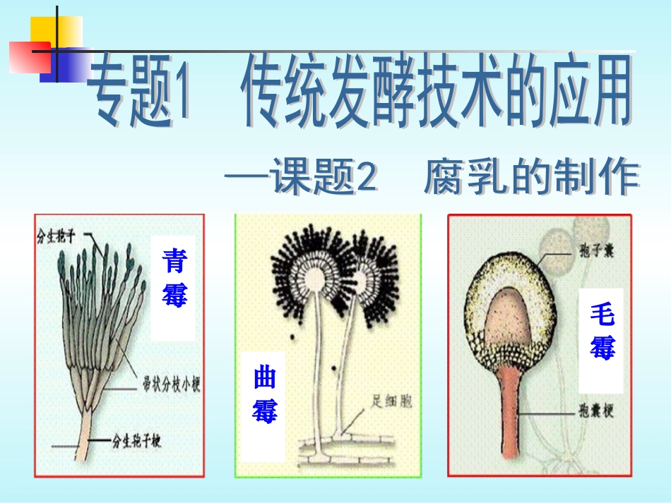 传统发酵技术的应用_第1页