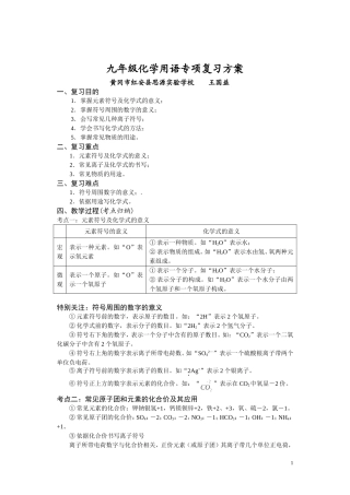 九年级化学用语专项复习方案