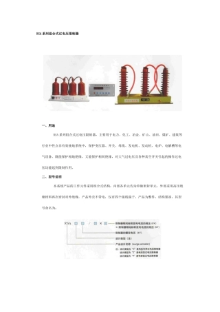 RSA系列组合式过电压限制器