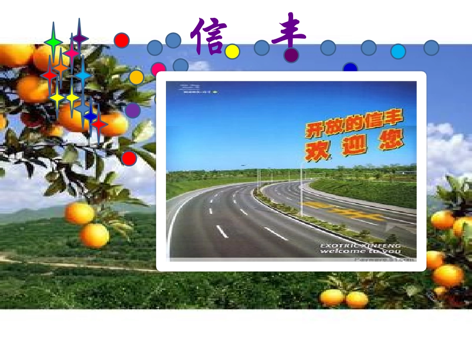 我的家乡-----信丰_第2页