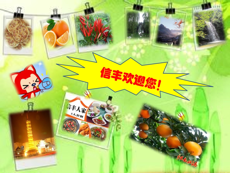 我的家乡-----信丰_第3页