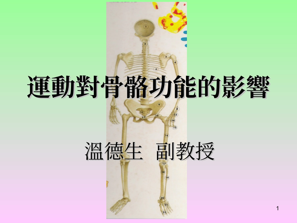 运动对骨骼功能的影响_第1页
