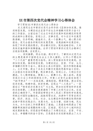 XX市第四次党代会精神学习心得体会