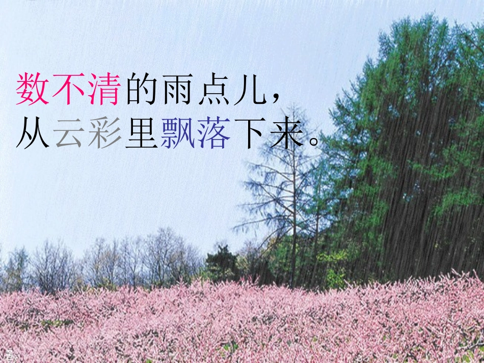 马尚英1，《雨点儿》_第3页