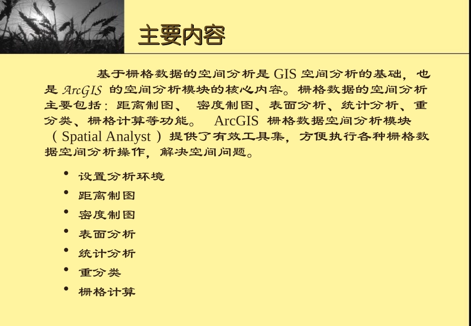 第八章 栅格数据空间分析_第2页