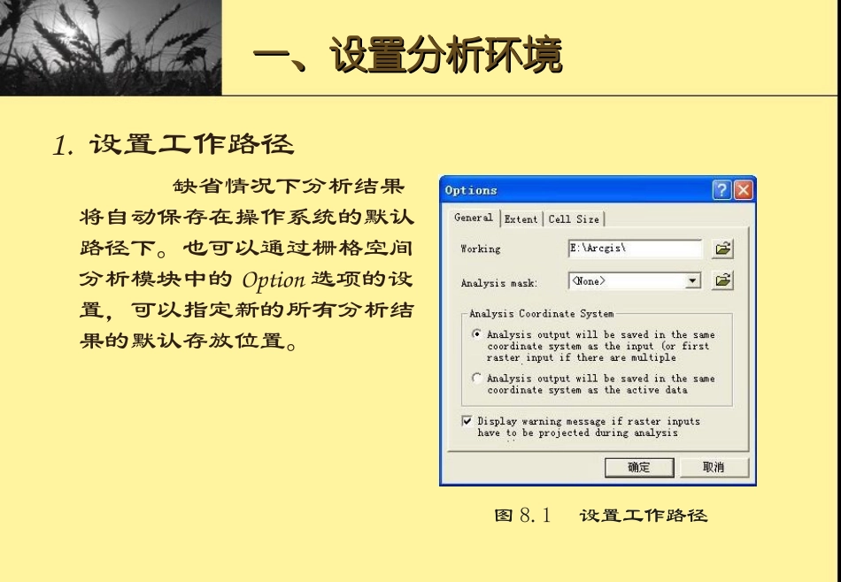 第八章 栅格数据空间分析_第3页