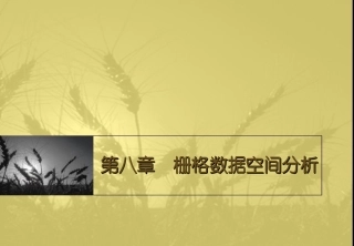 第八章 栅格数据空间分析
