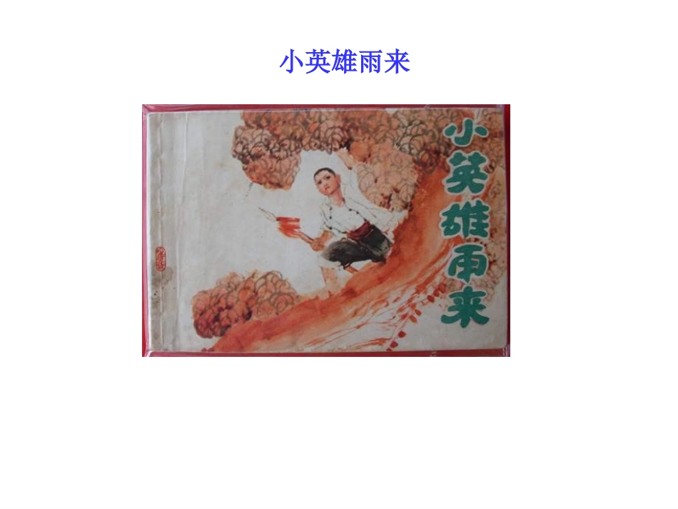 《小英雄雨来》教学课件_第1页