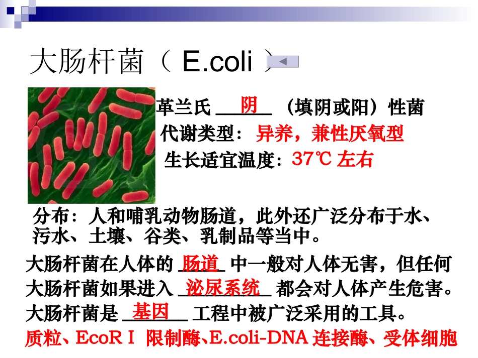 实验1大肠杆菌的培养和分离_第3页