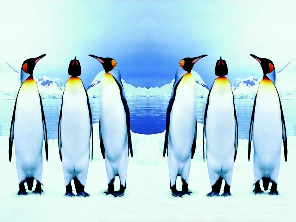 轴对称第课时课件_第3页