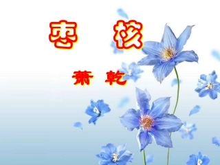 枣核（雷秋梅）
