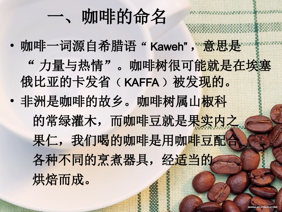 高乐雅咖啡物语_第2页