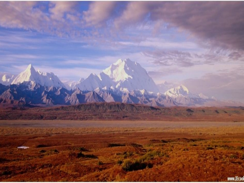 新课标语文五年级下册《丝绸之路》课件_第3页