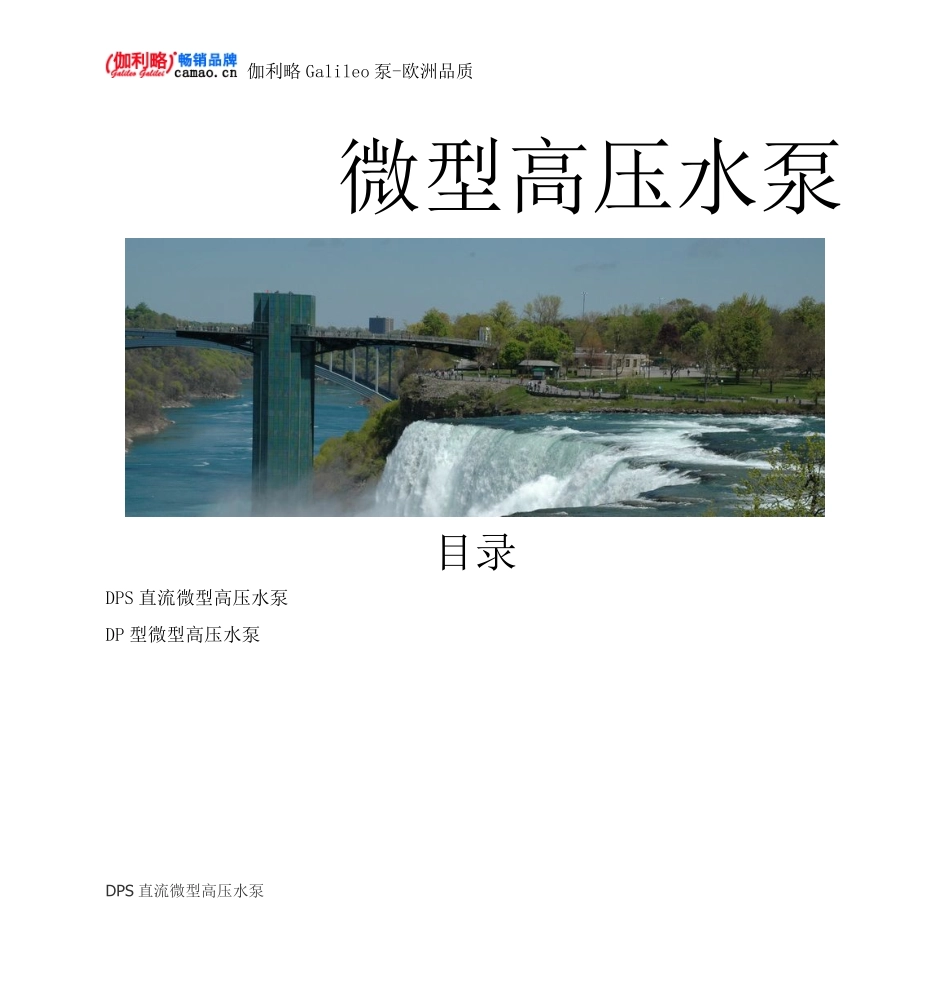 微型高压水泵_第1页