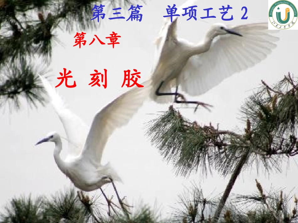 第3篇第八章光刻胶_第2页