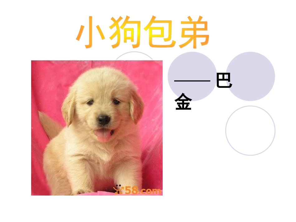 小狗包第课件_第2页