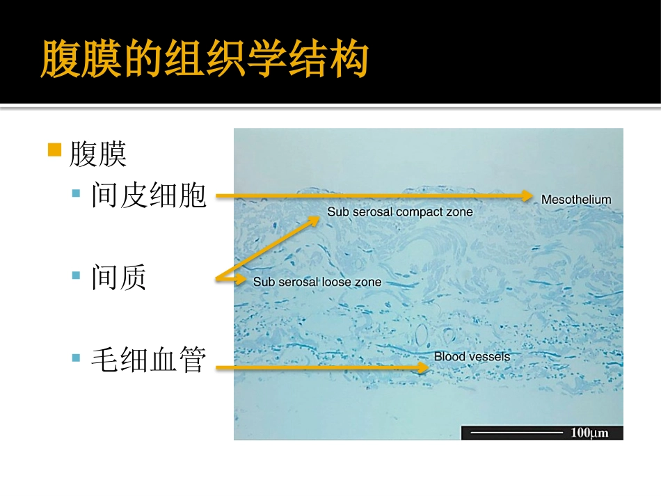 腹膜转运功能与临床应用_第3页