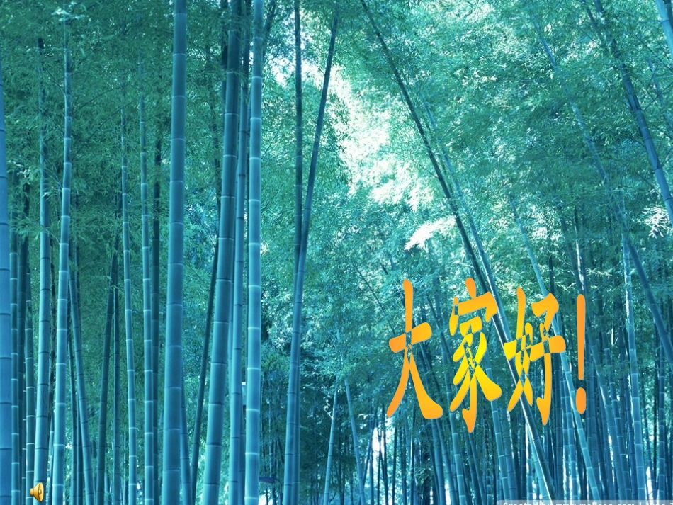 五年级上册观察物体_第1页