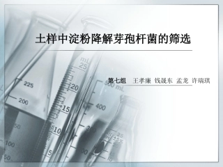 土样中淀粉降解芽孢杆菌的筛选