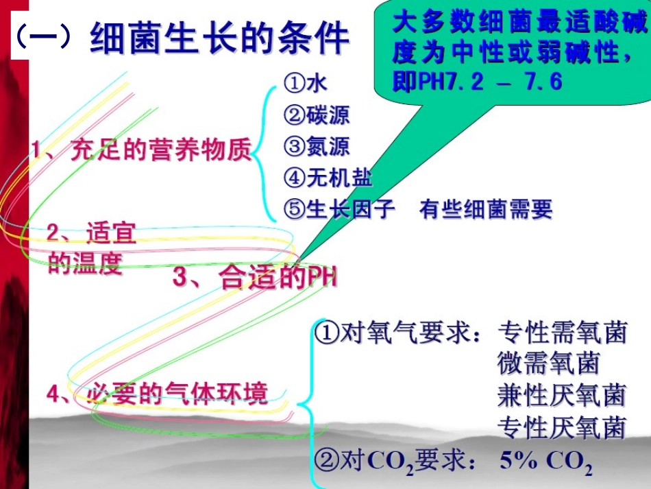 细菌生长繁殖与培养_第3页