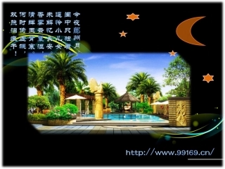 绿萝,马尾铁,蔓绿绒,密叶朱蕉,七彩竹芋,肉桂之苗木,园林,广东花木11