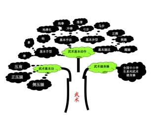 体操单元知识树