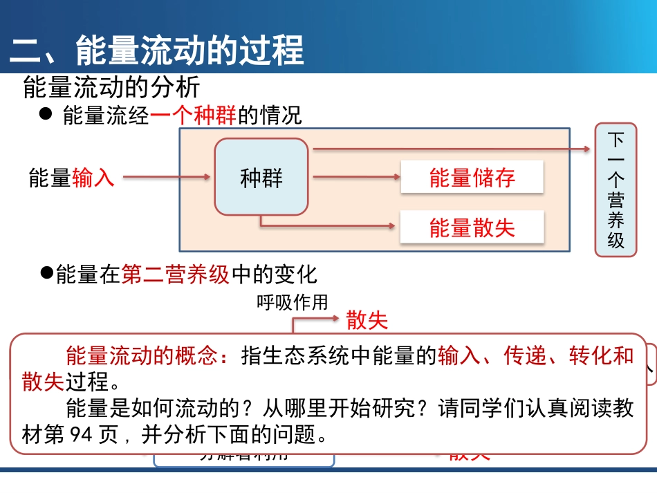 第二节 生态系统的能量流动_第3页